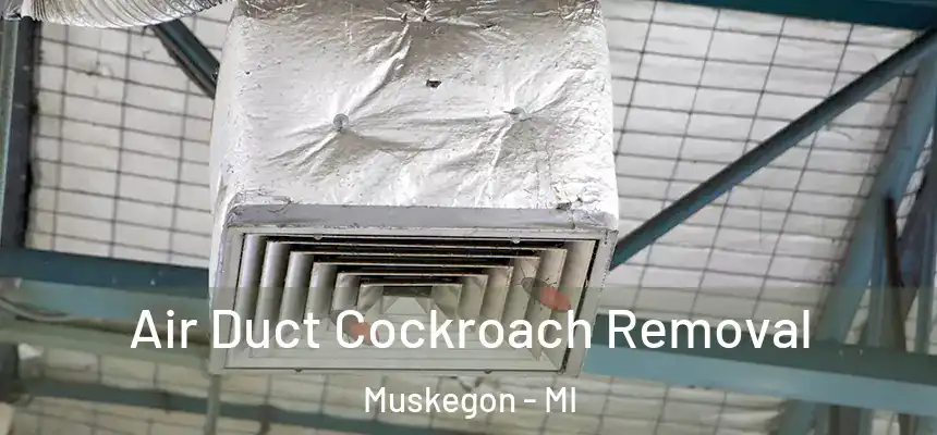 Air Duct Cockroach Removal Muskegon - MI