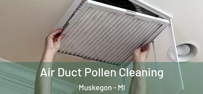 Air Duct Pollen Cleaning Muskegon - MI