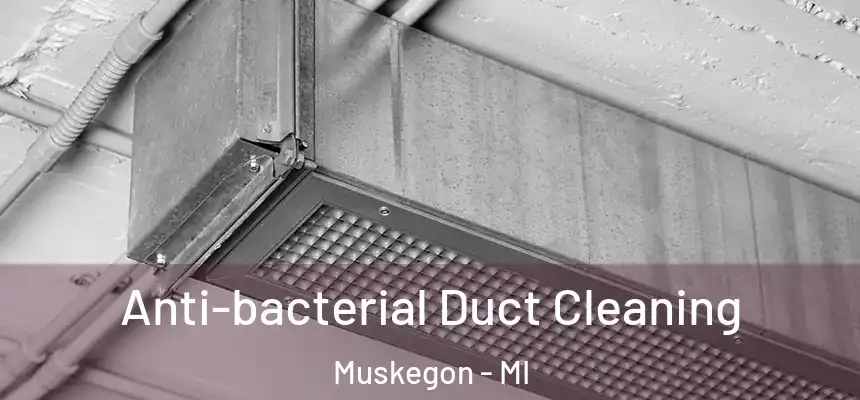 Anti-bacterial Duct Cleaning Muskegon - MI