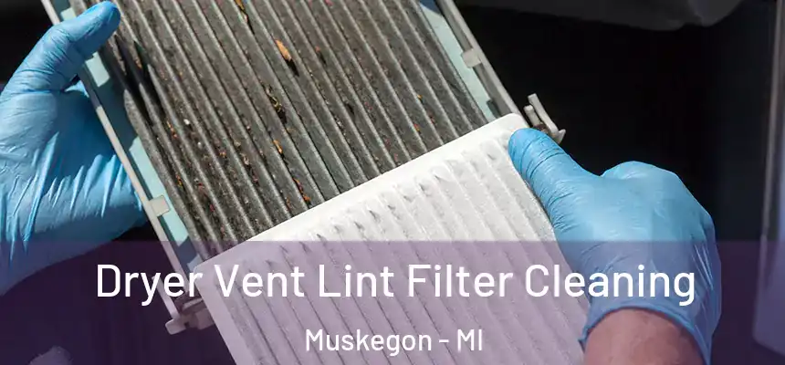  Dryer Vent Lint Filter Cleaning Muskegon - MI