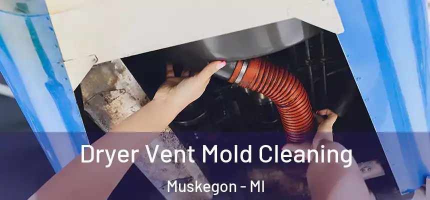  Dryer Vent Mold Cleaning Muskegon - MI