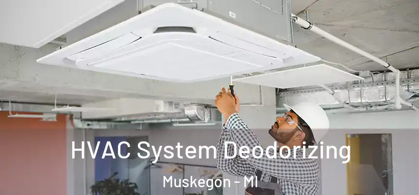  HVAC System Deodorizing Muskegon - MI