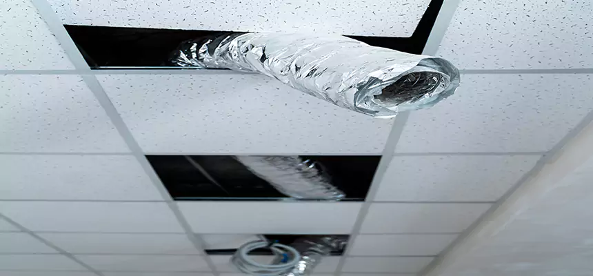 Affordable HVAC Sanitizing After Pest Removal in Muskegon