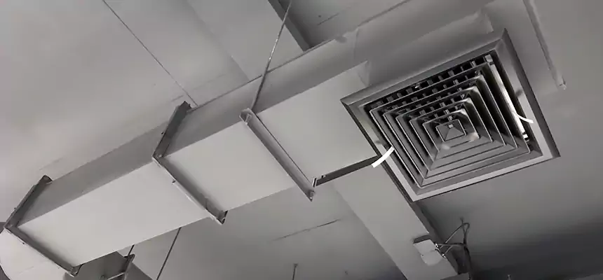 Our Pest Removal From Ducts Services in Muskegon, MI