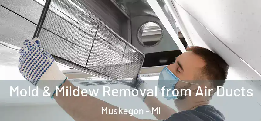  Mold & Mildew Removal from Air Ducts Muskegon - MI