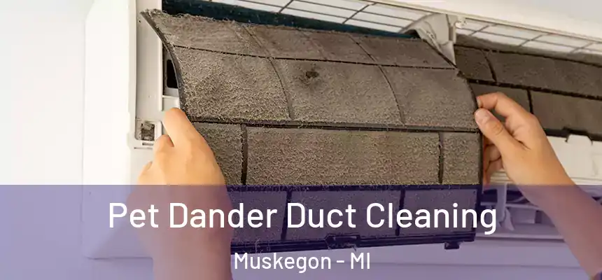 Pet Dander Duct Cleaning Muskegon - MI
