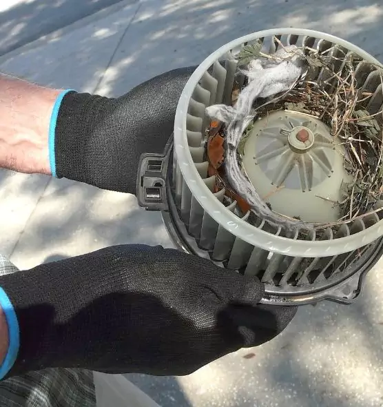 About Air Duct Rat Removal in Muskegon, MI