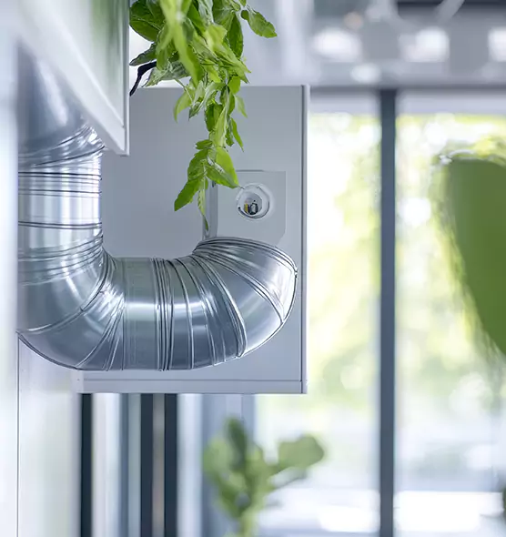 Professional Eco-Friendly Duct Cleaning Services in Muskegon, MI