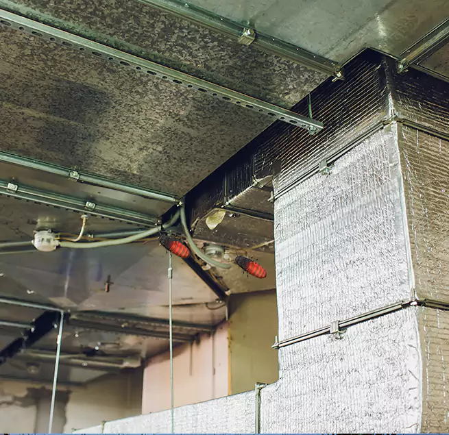 Why Homeowners & Businesses Trust Us in Muskegon, MI?