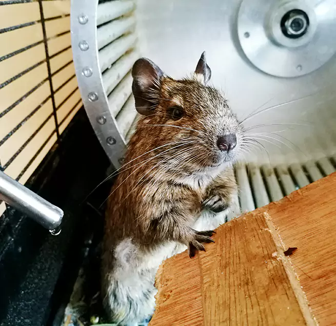 Why Homeowners & Businesses Trust Us Muskegon, MI