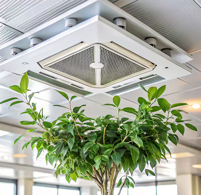 Why Homeowners & Businesses Trust Us in Muskegon, MI